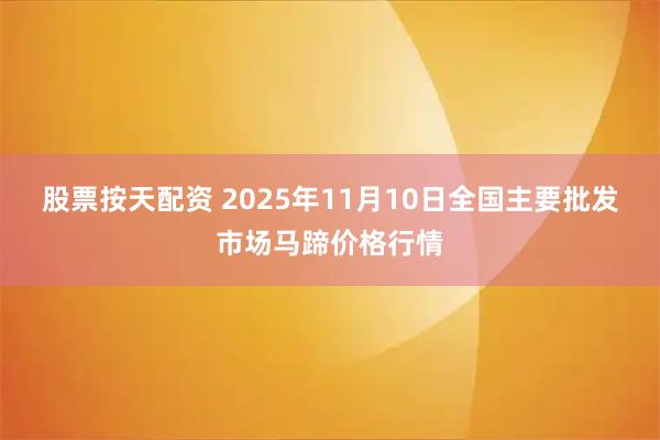 股票按天配资 2025年11月10日全国主要批发市场马蹄价格行情