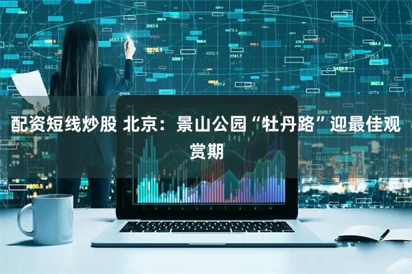 配资短线炒股 北京:景山公园“牡丹路”迎最佳观赏期