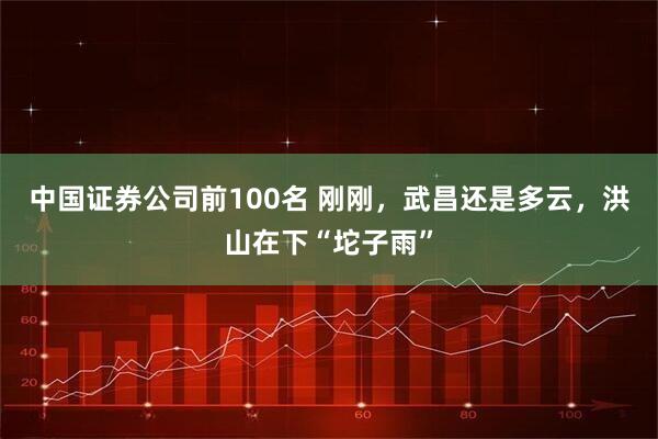 中国证券公司前100名 刚刚，武昌还是多云，洪山在下“坨子雨”