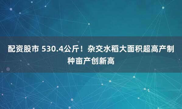 配资股市 530.4公斤！杂交水稻大面积超高产制种亩产创新高